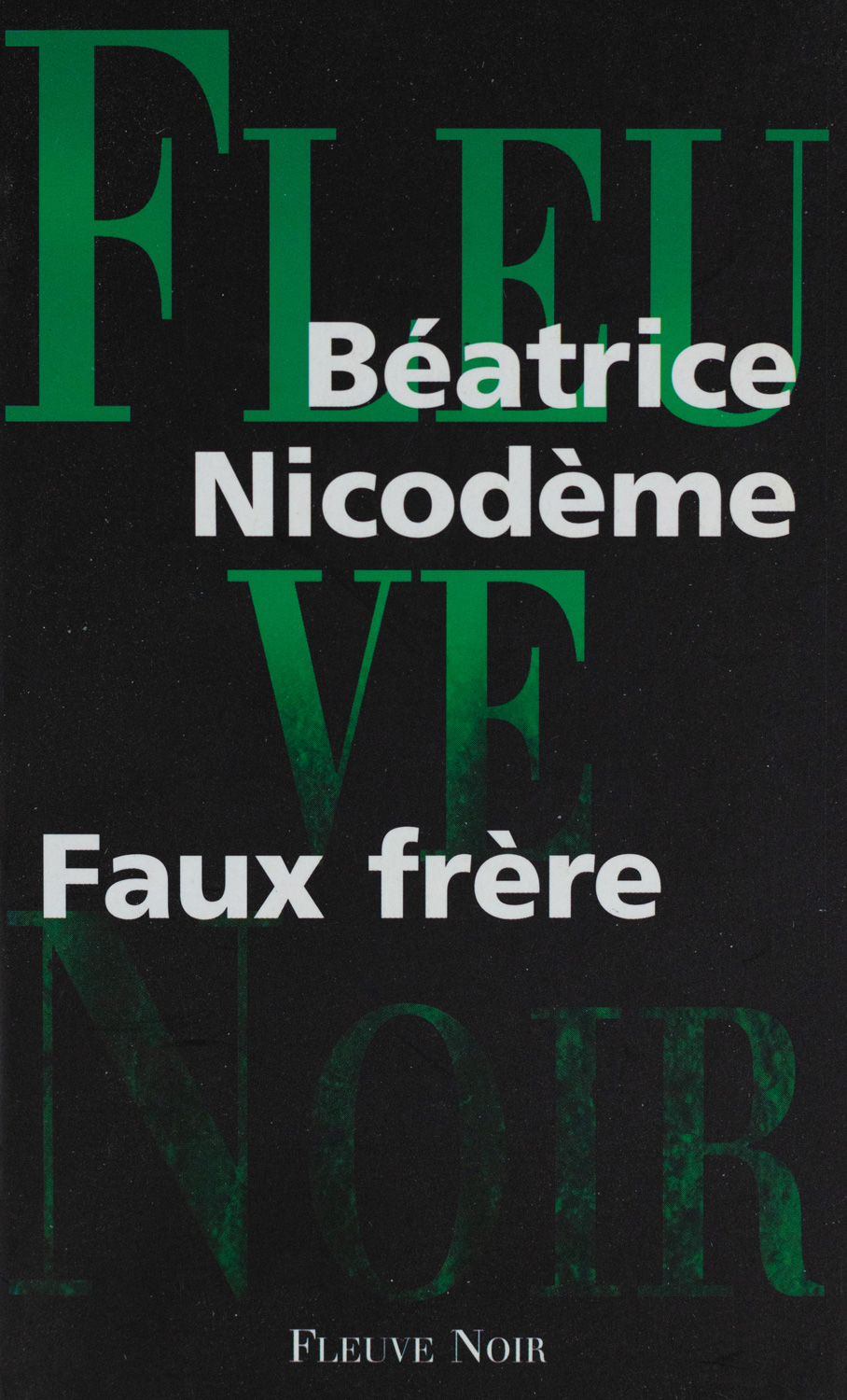 Beatrice Nicodeme autrice couverture du roman Faux frere